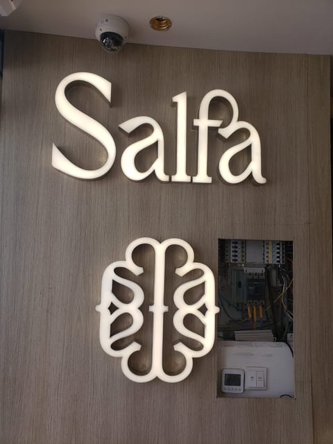 Neon signs displaying Salfa text and brain icon mounted on textured wall